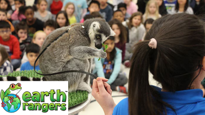 A young girl gives a presentation with a meerkat to a group of students. 