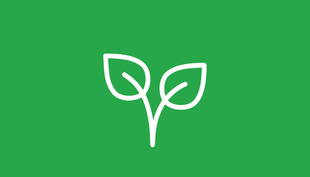 A graphic icon representing leaves is shown.