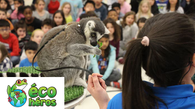 Une jeune fille fait une présentation à un groupe d’élèves avec un suricate. 